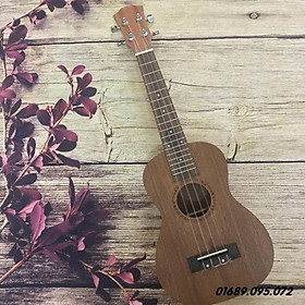 Mua (SIÊU RẺ) ĐÀN UKULELE HOẠ TIẾT ÂM SIÊU HAY