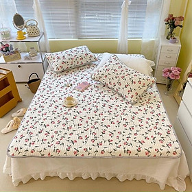 Mua Chiếu Điều Hoà Tencel 5D từ Mủ Cao Su Non Hàng Nhập Khẩu Cao Cấp 3 Món