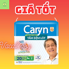 TẤM ĐỆM LÓT SIÊU THẤM CARYN 20 MIẾNG