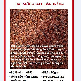 Mua Hạt giống cây bạch đàn trắng dể trồng-gói 50 gram/tặng kèm gói phân bón lót