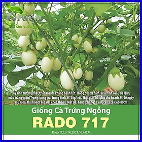 Mua Hạt Giống Cà Trứng Ngỗng