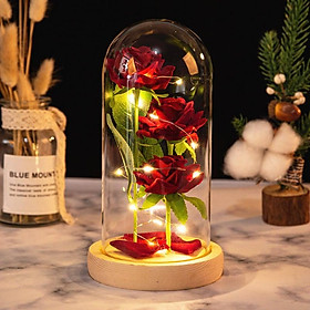 Hoa Hồng Màu tự nhiên 3 bông lồng kính đèn led - quà tặng tỏ tình - quà sinh nhật bạn gái