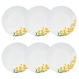 Mua Bộ 6 Đĩa Soup Thủy Tinh 225 La Opala Diva Ivory Y.G  LAPB225YG