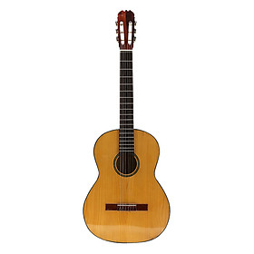 Đàn Guitar Classic SOL.G SAG02CN