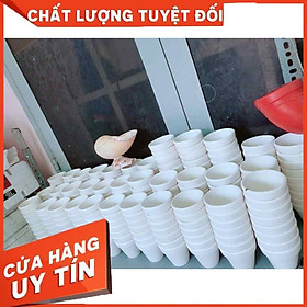 Chậu đất nung trồng cây Nhiều Người Mua