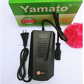 Mua Siêu chất với sạc ắc quy xe điện xe đạp điện 48V-60V- 20AH sạc điện cực nhanh hàng loại tốt