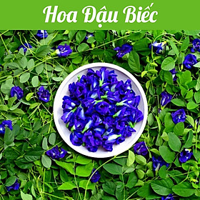 Hạt giống Hoa Đậu Biếc gói 2gr - DỄ TRỒNG