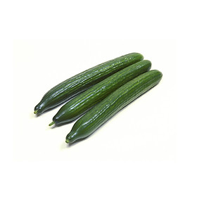 [Chỉ Giao HCM] - DƯA LEO NHẬT 500G