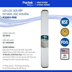 Lõi Lọc Xác Khuẩn Vi Sinh PARAGON P2005-PBB Cao Cấp PARTEK Lõi 20 inch Màng Giấy Xếp Ly Thẩm Thấu 0.1 Micron - Hàng Chính Hãng