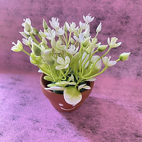 Mua chậu hoa điểm handmade trang trí mini  kèm chậu -8cm -12cm