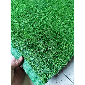 Thảm cỏ sợi nhựa nhân tạo 2cm loại đế nhựa không sinh bụi đen