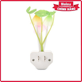Mua Đèn Ngủ Modosa Cảm Biến Ánh Sáng Hình Khóm Nấm Đáng Yêu - Hàng Chính Hãng