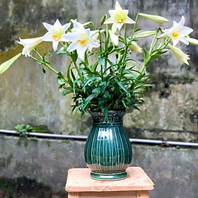 Lọ hoa gốm sứ - Dáng Rọ Cua Cao - Nhiều màu men - Gốm sứ Bát Tràng - Trang trí căn nhà - Gốm sứ chuyên Decor