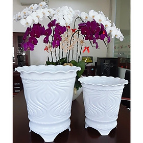 Bộ 2 Chậu Nhựa Trái Đào Giả Sứ Cao Cấp (330x200xH400) Thiết Kế Tinh Xảo, Bền Đẹp Thích Hợp Trồng Cây Cảnh, Cây Ăn Quả, Chất Liệu Nhựa ABS Cao Cấp - Hàng VNXK Châu ÂU
