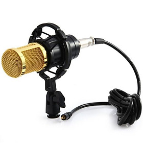 Bộ Micro livestream tại nhà BM 800 (kèm bông lọc, chân mic) - giao màu ngẫu nhiên