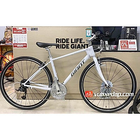 Xe đạp đường phố GIANT ESCAPE R3 MS 2022 (Nội địa Nhật Bản)