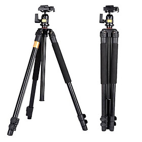 Chân Máy Ảnh Tripod Beike Q-308 - Hàng Nhập Khẩu