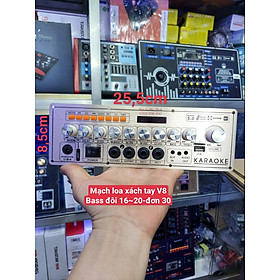 Mua Mạch loa Ngang 25 5cm x 8 5cm Chuyên dùng Loa độ chế- Loa xách tay Bass đôi 16 -20cm