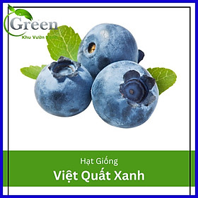 Hình ảnh Hạt Giống Cây Việt Quất Xanh (30H)