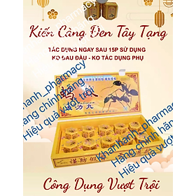 kiến càng đen tây tạng