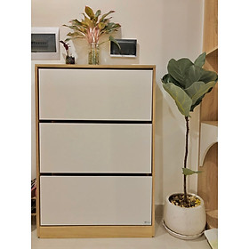 Mua Tủ Giày Thông Minh Cánh Lật Cất Giữ 24 Đôi Giầy GP20.1