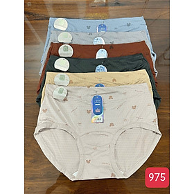 Combo 5 quần lót nữ thun lạnh thông hơi lưng cao 975 – Đem lại sự thoải mái và tự tin mỗi ngày
