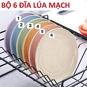 Mua Bộ 6 đĩa lúa mạch