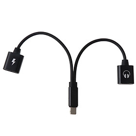 2 in 1 For iPhone Male Port to Female Audio & Charging Adapter Cable