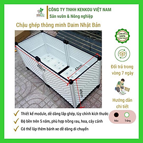 Hình ảnh Chậu trồng cây L102*W43*H46cm Chậu ghép thông minh Hàng Chính Hãng DAIM Nhật Bản, trồng rau, hoa cây cảnh tại nhà