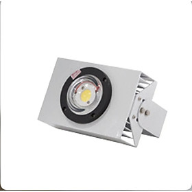 Đèn LED Câu mực 30W-50W chính hãng Rạng Đông Model: CM01 30W-50w