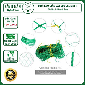 Mua Lưới Làm Giàn Dây Leo (0 9m x 1 8m) Lưới Làm Giàn Dưa Leo  Hoa  Đậu Leo  Giàn Cây Bền Chắc