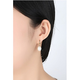 Bông tai ngọc trai và bạc BT193