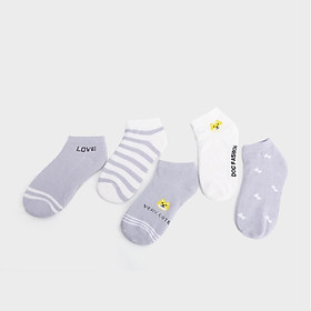 Combo 5 đôi tất cổ thấp xinh xắn hapas - pk