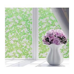 Mua Combo 5m Decal Giấy Dán Kính Rừng Xanh (5mx0.45m)