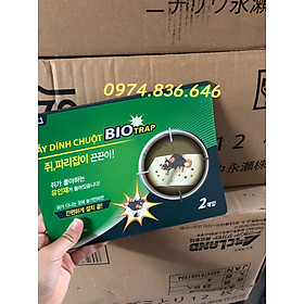 Mua Combo 5 miếng keo dính chuột Hàn Quốc siêu dính  siêu an toàn  hiệu quả cao