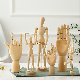 Mua KHO-HN * Bàn tay gỗ đầy đủ khớp  đốt ngón tay chuyên dụng trang trí  trưng bày trang sức  tạo dáng studio