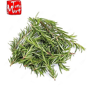 Lá hương thảo tươi Lá Rosemary