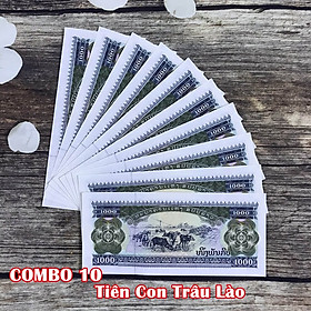 Combo 10 tờ lưu niệm hình con Trâu của Lào, dùng để sưu tầm, lưu niệm, làm tiền lì xì độc lạ, may mắn, ý nghĩa - TMT Collection - SP005072