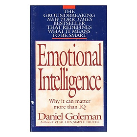 Hình ảnh sách Emotional Intelligence: Why It Can Matter More Than IQ