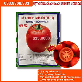 Hạt giống Cà chua Monaco F1 chịu nhiệt (VA.11) – 5gram - Qủa to năng suất cao