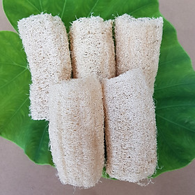 Mua Combo 5 xơ mướp cắt khúc ( 10-11cm ) dùng tắm  chà lưng  massage