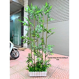 Mua Set 5 cây trúc giả NHIỀU LÁ trang trí  cao 150cm-200cm ( kèm chậu y hình)