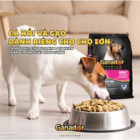 Thức ăn cho chó trưởng thành Ganador vị cá hồi và gạo Adult with Salmon and Rice 400g