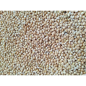 KÊ TRẮNG SỮA CHO CHIM CẢNH, VẸT