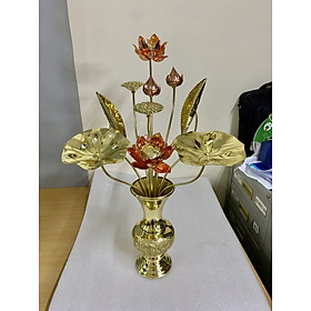 Mua Combo 1 lọ hoa bằng đồng cao 30cm + 1 bó sen vàng 70cm.