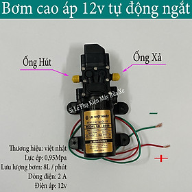 Mua Bơm tăng áp 12v tự động ngắt sử dụng cho hệ thống rửa xe  máy lạnh  tưới cây  phun sương  máy bơm phun sương 12v | bơm mini 12v