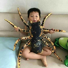 Mua Gối ôm 3d cho bé con gián và con nhện