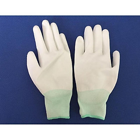 Mua combo 300 đôi phủ bàn (trắng/xám)