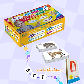 Bộ Thẻ Học Thông Minh 416 Thẻ 16 chủ đề (Song ngữ Việt Anh)