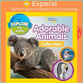 Sách - Explore My World Adorable Animal Collection 3-in-1 by Jill Esbaum (US edition, paperback)